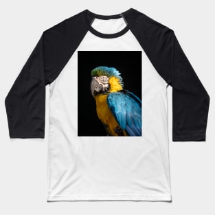 Blue and Gold Macaw Baseball T-Shirt